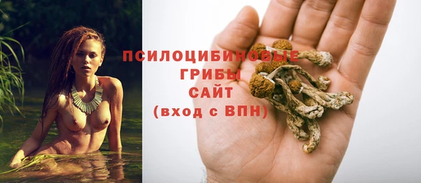 МДМА Арсеньев