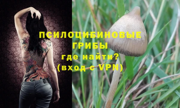 трава Аркадак
