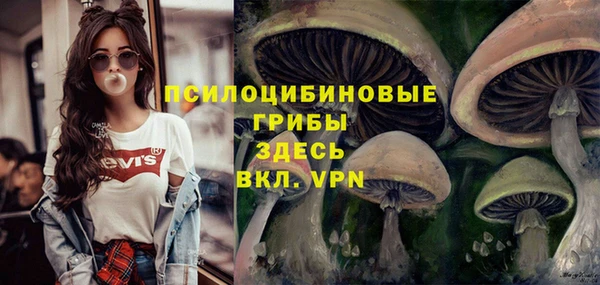 трава Аркадак