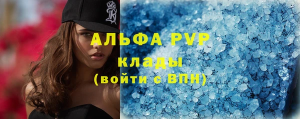 трава Аркадак