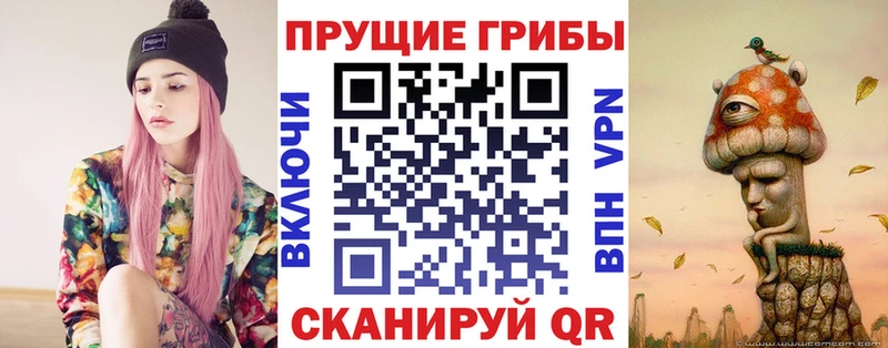 Псилоцибиновые грибы Cubensis  сколько стоит  Унеча 